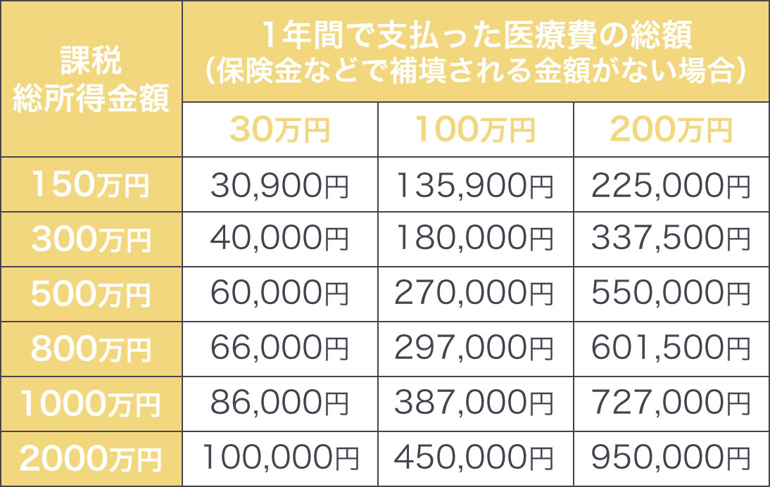 医療費控除表